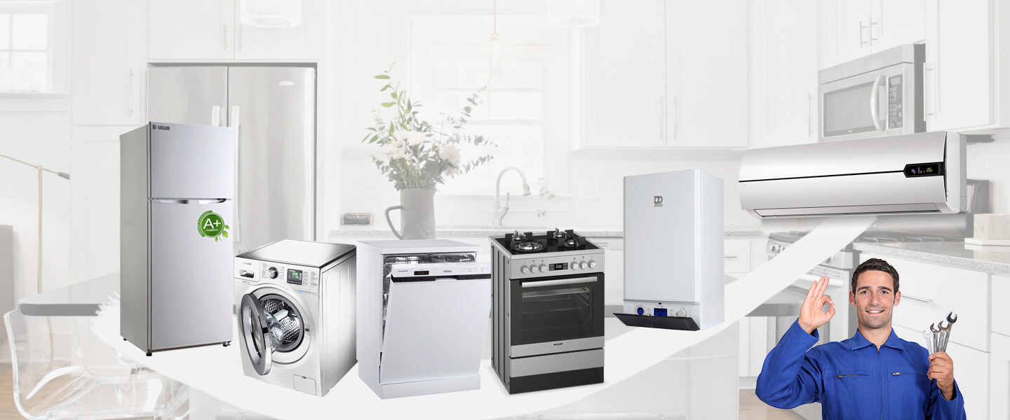 Kalabak Warmhaus Servisi